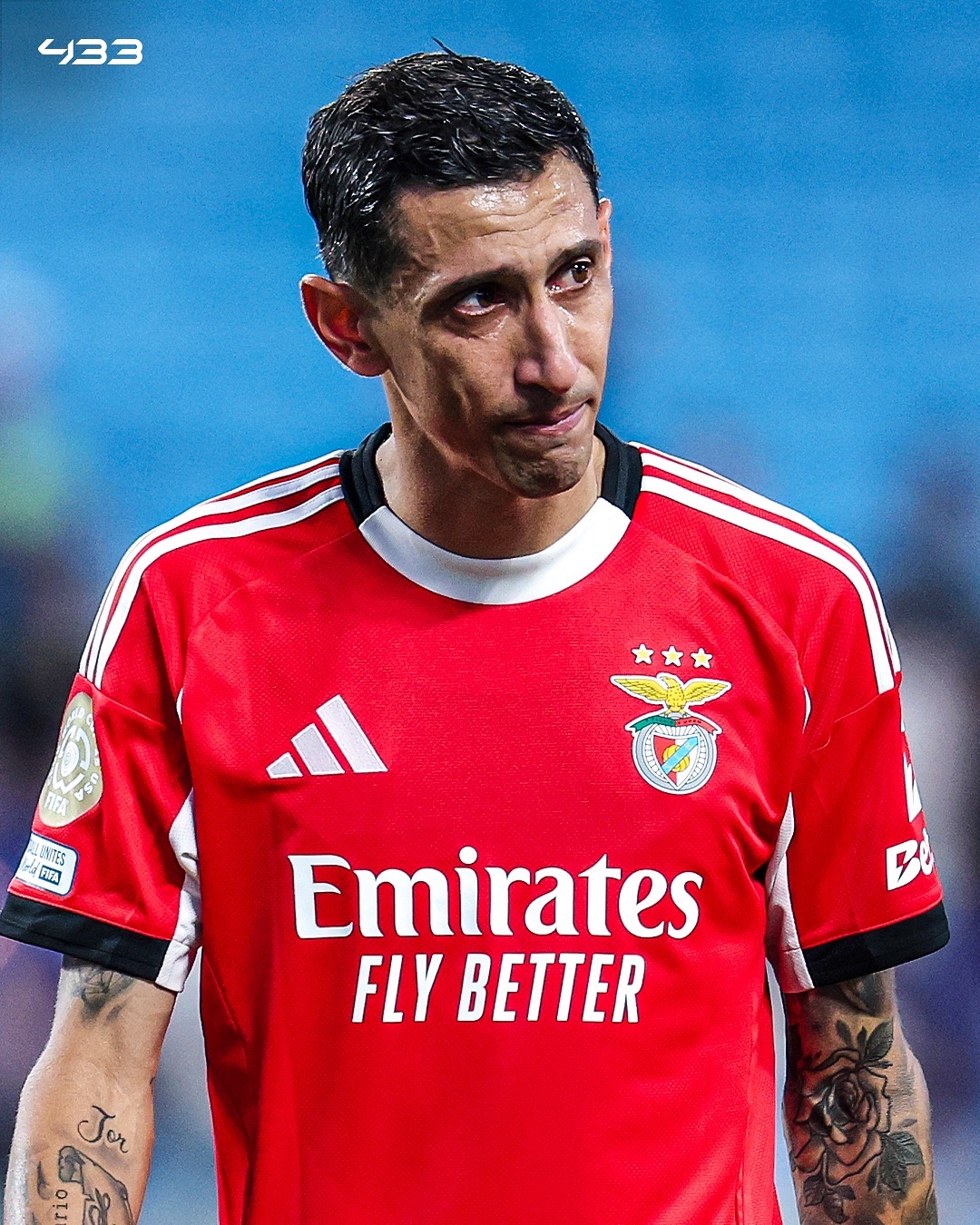 本菲卡发布备战花絮，集结日伤情更新，欧超杯任务艰巨，临场指挥获称赞的简单介绍